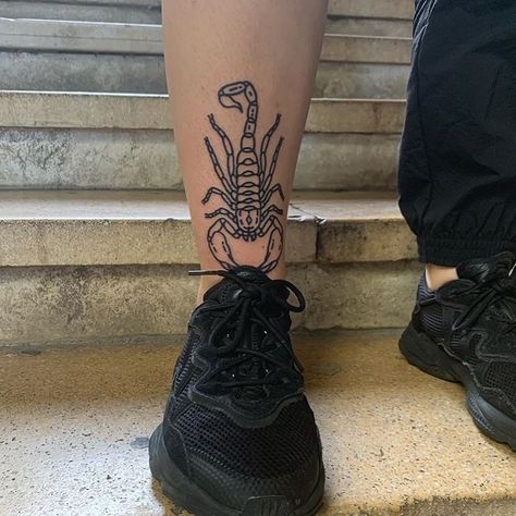 Tatu Baby, Scorpion Tattoos, Ignorant Tattoos, Ignorant Style Tattoo, Bauch Tattoos, Tatoo Inspiration, Scorpio Tattoo, Cute Tats, Scorpion Tattoo