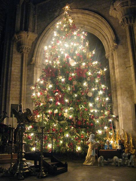 Ely Cathedral. Christmas 2011 Christmas Cathedral, Cathedral Christmas, Marry Xmas, Ely Cathedral, Life Manifestation, Gothic Christmas, Architecture Concept, A Child Is Born, 2024 Christmas