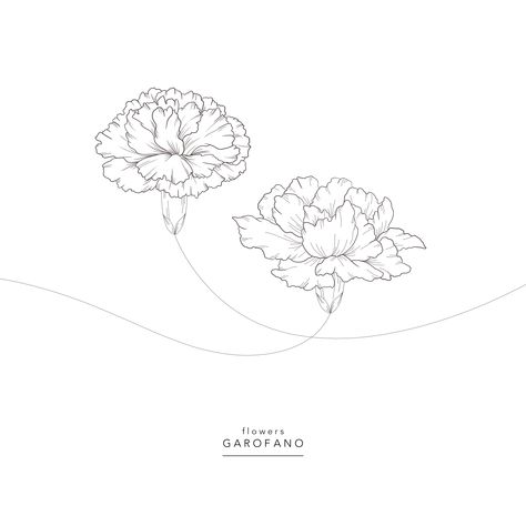 Flowers ⚘ Garofano ⚘ Dianthus Lokelani Flower Tattoo, Dianthus Flowers Drawing, Dianthus Tattoo, Atla Tattoo, Italian Flowers, Dianthus Flowers, Dianthus Caryophyllus, Glam Bedroom Decor, Colouring Sheets