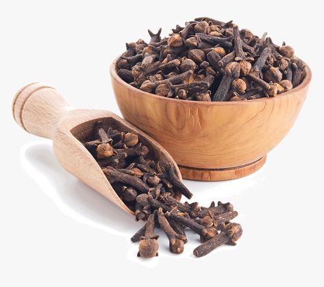 Cloves Recipes, Clove Plant, Cloves Benefits, Cloves Spice, Cookie Making, Pumpkin Pies, Digestive Issues, Spice Shop, Herb Seasoning