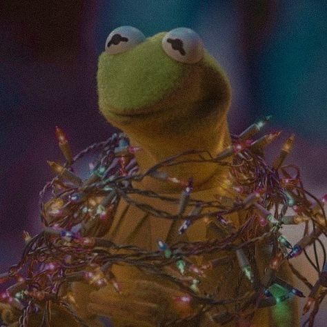 Kermit Christmas, Christmas Pfp, Have A Holly Jolly Christmas, Holly Jolly Christmas, Jolly Christmas, The Frog, Holly Jolly, Merry Christmas, Christmas