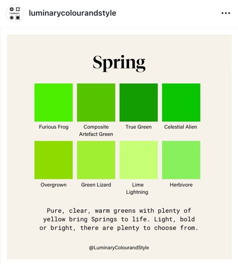 Best Green Colors, Spring Clothes Aesthetic, True Spring Makeup, Bright Spring Clothes, Warm Spring Palette, True Spring Color Palette, Warm Spring Color Palette, Light Spring Palette, Warm Spring Outfits