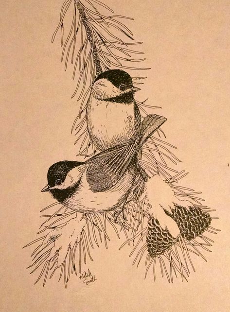 Wild Bird Tattoo, Chickadee Aesthetic, Mountain Chickadee Tattoo, Black Capped Chickadee Tattoo, Chickadee Illustration, Chickadee Drawing, Chickadee Tattoo, Vogel Tattoo, Black Capped Chickadee