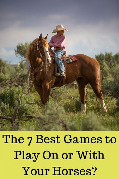 Horse Riding Games, Horses Training, Horse Activities, Horse Hacks, Horse Education, Horse Camping, Play Horse, Horse Training Exercises, Different Horse Breeds