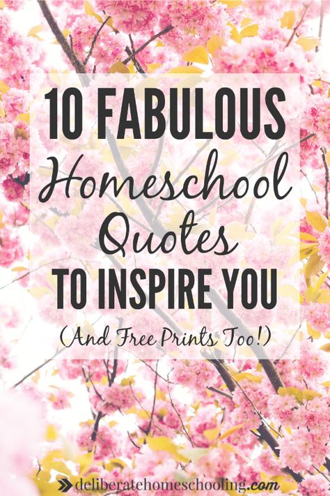 Tough homeschool day? I love famous quotes and like to collect them. Check out these 10 fabulous homeschool quotes to inspire you and uplift your spirits! Inspirational Homeschool Quotes, Quotes About Homeschooling, Homeschool Mama Quotes, Homeschool Affirmations, Homeschool Quotes Inspiration, Homeschool Inspiration Quotes, Homeschool Encouragement Quotes, Homeschool Mom Quotes, Homeschooling Quotes