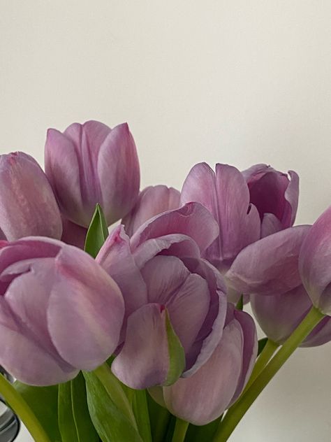 Purple Lillies Aesthetic, Lavender Aesthetic, Nothing But Flowers, Flower Shower, Purple Themes, Purple Tulips, Flower Therapy, Tulips Flowers, Flower Planters