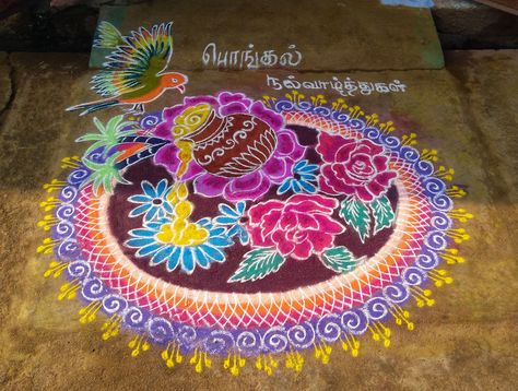 Tuesday Rangoli, Sankranti Muggulu, Pongal Rangoli, Indian Rangoli Designs, Pongal Kolam, Alphabet Letters Images, Easy Rangoli Designs Videos, Rangoli Designs Photos, Rangoli Designs Simple Diwali