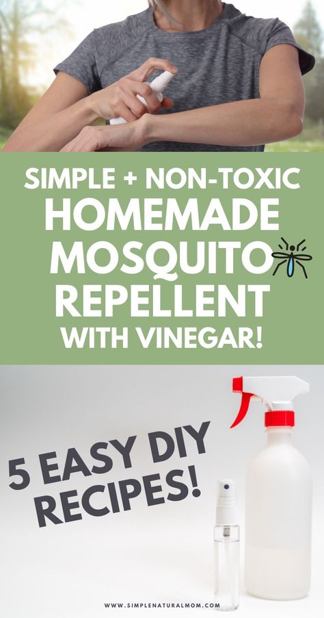 Simple Homemade Mosquito Repellent with Vinegar – Simple Natural Mom Natural Mosquito Spray, Fly Repellant Diy, Homemade Mosquito Spray, Mosquito Repellent Lotion, Homemade Mosquito Repellent, Insect Repellent Homemade, Homemade Bug Repellent, Repellent Diy, Diy Bug Repellent