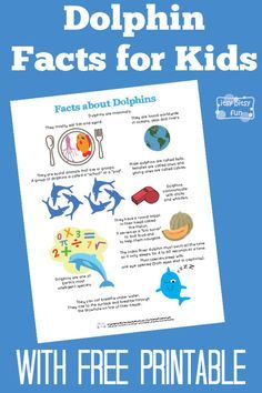 Fun Dolphin Facts for Kids With Free Printables Dolphin Facts For Kids, Dolphin Craft, Dolphin Birthday Parties, Dolphin Facts, Dolphin Party, Free Printables For Kids, Water Facts, Nutrition Label, Fun Facts For Kids