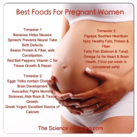 Foods For Pregnant Women, Food For Pregnant Women, Pregnancy Eating, Healthy Pregnancy Food, Quotes Bff, Baby Trivia, Pregnancy Week, Pregnancy Help, Healthy Pregnancy Tips