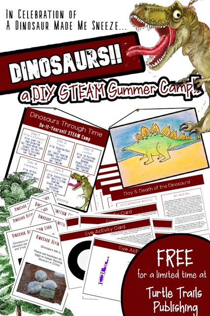 Dinosaur Crafts For Middle School, Dinosaur Class Activities, Dinosaur Steam Activities, Saturday Night At The Dinosaur Stomp Activities, Dinosaur Learning Activities Elementary, Dinosaur Summer Camp Activities, Dinosaur Stem, Social Studies Dinosaur Activities, Dinosaur Unit Study First Grade