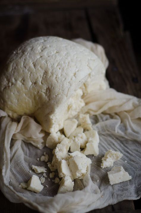 How to Make Simple Farm-Style Cheese at Home Farm Cheese, Cheese At Home, Dairy Farm, Homemade Cheese, Farm Style, How To Make Cheese, Fermented Foods, Kefir, Colby