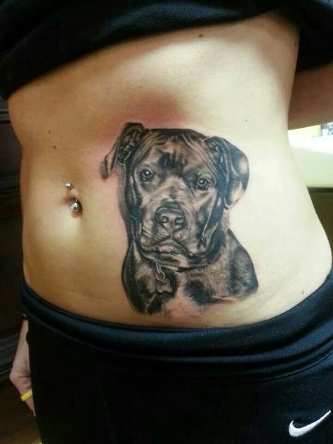 Dog portrait. Stomach. By Adam Driver at Underground Ink Tattoo, Oakwood, GA. Cane Corso Tattoo Ideas, Cane Corso Tattoo, Dog Line Art Tattoo, Tattoo Cake, Animal Magazines, Line Art Tattoo, Dog Tattoo Ideas, Dog Line Art, Dog Line