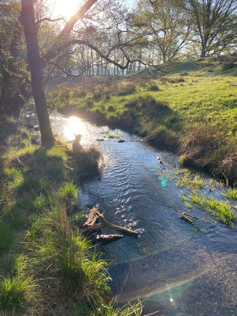 Sun, rainbow, forest, river, green grass Sunny Field Aesthetic, Sunny Forest Aesthetic, Day Aesthetic Sunny, Sunny Days Aesthetic, Georgia Core, Sunny Day Photography, Sunny Day Aesthetic, Forest With River, Healing Summer