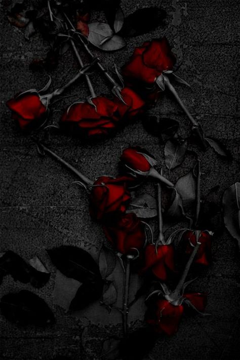 Free download gothic roses Gothika Pinterest for Desktop, Mobile & Tablet. [500x750]. 41+ Gothic Roses Wallpaper on WallpaperSafari Dark Red Rose Aesthetic, Red Rose Aesthetic, Rose Day Pic, Dark Fairytale Aesthetic, Wallpapers Rosa, Black And Red Roses, Dark Red Roses, Rose Aesthetic, Red Roses Wallpaper