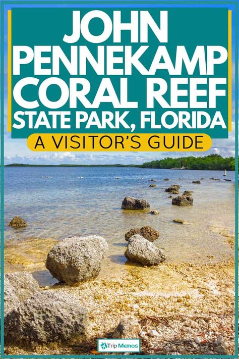 St Andrews State Park Florida, Things To Do In Panama City Beach Fl, Panama City Beach Florida Things To Do, Panama City Beach Florida Kids, Key West Florida Vacation, Florida Keys Road Trip, Panama Beach, Florida Parks, Vacation 2024