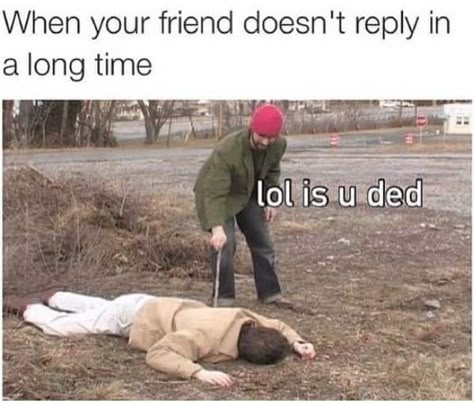 15 Of The Best Friendship Memes To Share With Your Idiot Best Friend - Memebase - Funny Memes Friendship Memes, Friendship Humor, Friend Memes, Best Friends Funny, Memes Humor, Funny Relatable Quotes, One Pilots, Friends Funny, Really Funny Memes