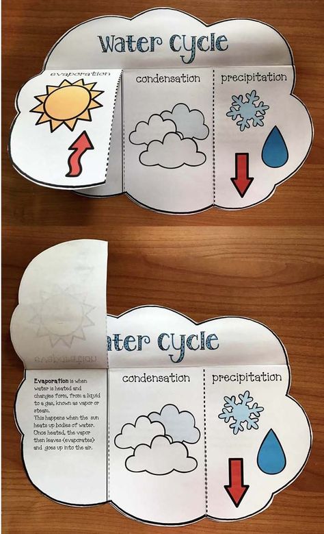 Science activities: Super-simple "print & go" (Flip-the-flap) water cycle craft. BW + Color. Water Cycle Craft, Pool Layout, Water Cycle Activities, Weather Activities For Kids, Fish Craft, Weather Crafts, مشروعات العلوم, 4th Grade Science, Tivoli Gardens