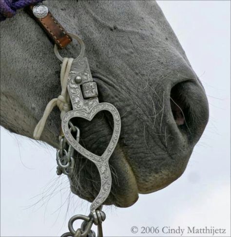 How special this heart is! Barrel Racing Tack, Horse Things, Into The West, Western Tack, Horse Gear, Western Riding, All About Horses, All The Pretty Horses, Bridles