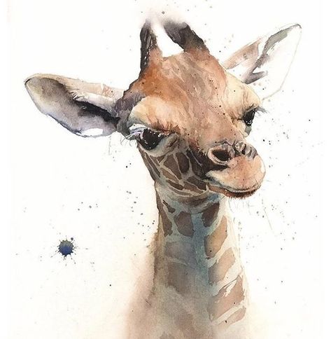 Eric Sweet on Instagram: "With any luck, baby number two will arrive today! We’re all so excited to have another little one (or tall one). Wish us luck!! 🐣❤️🙏 #baby #itsagirl #birth #birthday #labor #giraffe #babygiraffe #giraffelove #babyanimals #babygirl #watercolor #watercolorpainting #watercolorist #watercolorartist #watercolorart #watercolor_daily #watercolor_art #watercolorlove #watercolor_painting #watercolor_blog" Giraffe Artwork, Giraffe Watercolor, Art Mini Toile, Wildlife Painting, Watercolor Paintings Of Animals, Giraffe Wall Art, Giraffe Painting, Canvas Art Projects, Giraffe Art