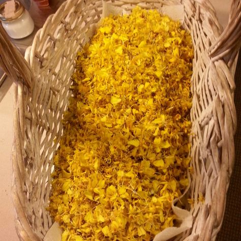 Dried marigold petals. Dried Marigold, Yellow Hues, Entrance, Yellow