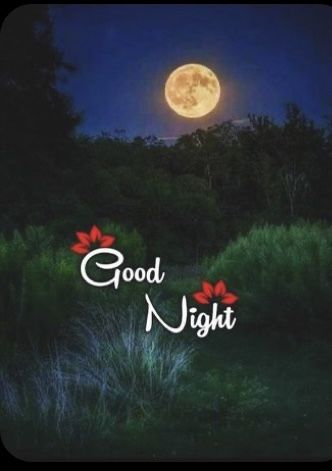 Photo Good Night, Sweet Good Night, Good Night Status, Good Night Photo, Photos Of Good Night, New Good Night Images, Good Night Images Hd, Lovely Good Night, Morning Quotes For Friends