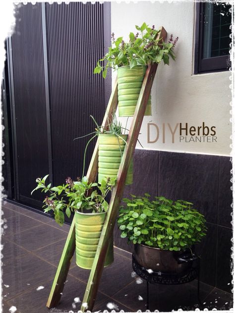 A quick afternoon DIY project. Recycle milk powder tins into space saver planter. All you need are 2 wood planks, few tins, 2 screws for each tin. Milk Tin Can Decor, Tim Can Planters, Tin Can Garden Ideas, Tin Can Planters, Can Planters, Recycled Planters, Upcycled Planter, Tin Can Flowers, Tin Planters