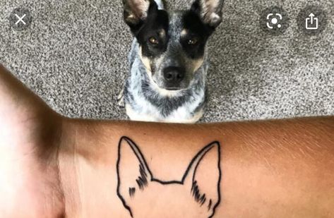 Blue Heeler Outline Tattoo, Cattle Dog Ear Tattoo, Blue Heeler Ears Tattoo, Aussie Dog Tattoo, Australian Cattle Dog Tattoo, Cattle Dog Tattoo, Jasper Tattoo, Dog Portrait Tattoo, Dog Tattoo Ideas