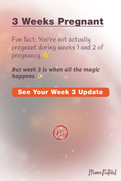 3-4 Weeks Pregnant, 4 Weeks Pregnant Symptoms, Week 3 Pregnancy Symptoms, 3 Weeks Pregnant Symptoms, Pregnancy Week Calculator, 2 Weeks Pregnant, Pregnancy Symptoms By Week, 3 Weeks Pregnant, Pregnancy Development