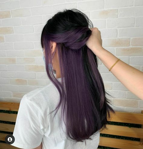 Purple Hair Color Ideas For Black Hair, Brown With Purple Peekaboo, School Appropriate Hair Color, Undercolor Hair Purple, Halo Hair Placement, Purple Under Black Hair, Violet Peekaboo Hair, Purple Highlights Brown Hair Straight, Purple Highlights Straight Hair