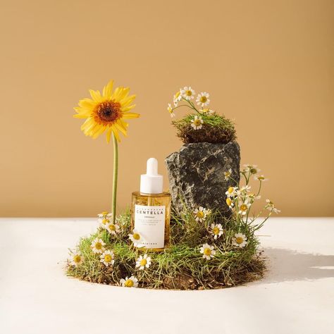 Product photography by @_exp.plus_ | Instagram Spring Season Photography, Retail Display Shelves, Set Design Photography, Commercial Photography Product, Botanical Fashion, Hand Photography, Perfume Photography, Candles Photography, Flower Installation