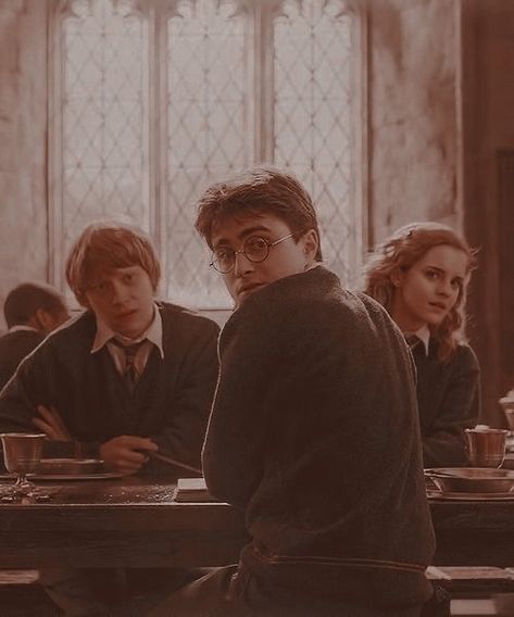 The Golden Trio, Free Dobby, Gryffindor Aesthetic, Harry Potter Wall, Harry Potter Icons, Harry Potter Feels, Harry Potter Scene, Golden Trio, Harry Potter Pictures