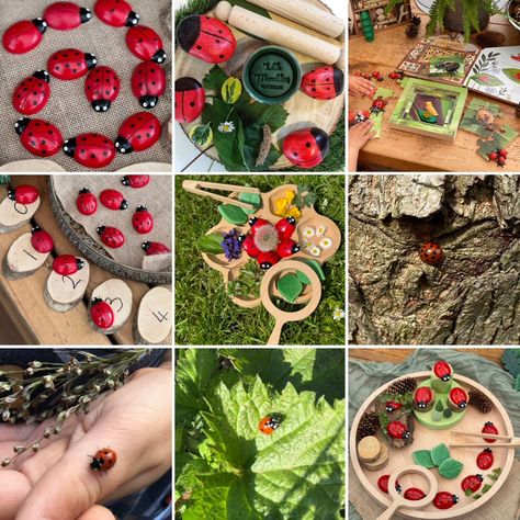 Ladybird Activities, Bug Hotel, Natural Pest Control, Invitation To Play, Counting Activities, Healthy Garden, Nature Play, Beneficial Insects, Visual Display