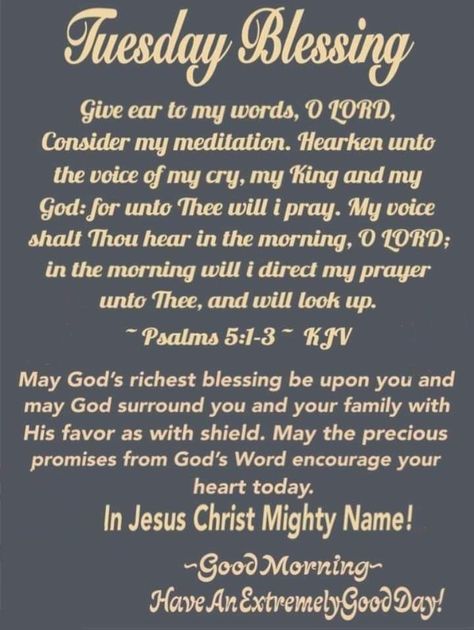 Tuesday Morning Prayers, Tuesday Blessings Mornings, Blessed Tuesday, Christian Good Morning Quotes, Morning Scripture, Tuesday Blessings, Daily Wisdom, Good Morning God Quotes, Daily Scripture