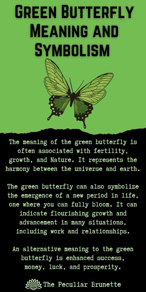 The meaning of the green butterfly is often associated with fertility, growth, and Nature. It represents the harmony between the universe and earth. The green butterfly can also symbolize the emergence of a new period in life, one where you can fully bloom. It can indicate flourishing growth and advancement in many situations. An alternative meaning to the green butterfly is a symbol for enhanced success, money, luck, and prosperity. #peculiartips Green Butterfly Spiritual Meaning, Green Butterfly Meaning, Things That Represent Me, Symbols For Growth, Butterfly Symbolism Meaning, Green Symbolism, Symbols Of Growth, Just Tattoo, Spiritual Butterfly