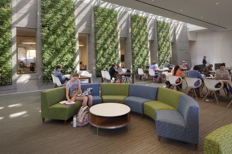 Student Center at Georgetown University / ikon.5 architects University Interior Design, University Cafeteria, University Washington, Living Green Walls, Cafeteria Design, Student Lounge, Residence Hall, Student Center, Georgetown University