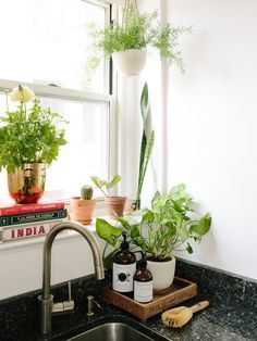 Washington D.C. Apartment Tour  - counter top kitchen Faux Granite, Rustic Counter, Kitchen Remodel Countertops, Diy Kitchens, Kitchen Plants, Cup Of Jo, Concrete Counter, Apartment Tour, Diy Countertops