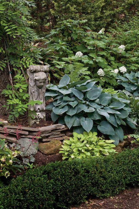 Shady Backyard, Colorado Blue Spruce, Shady Garden, Shade Garden Design, Backyard Garden Layout, Backyard Retreat, Woodland Garden, Outdoor Backyard, Plants And Flowers