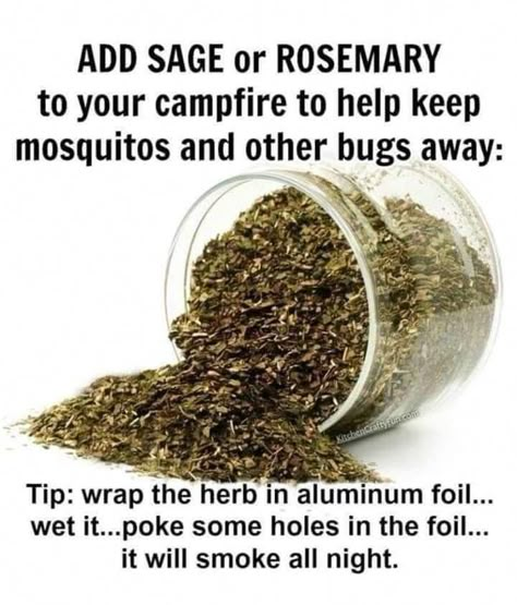 Outdoor Bug Repellent, Outdoor Skills, Cabin Trip, Camping Hacks Diy, Healing Foods, Fall Camping, Camping Stuff, Survival Life Hacks, Bug Repellent