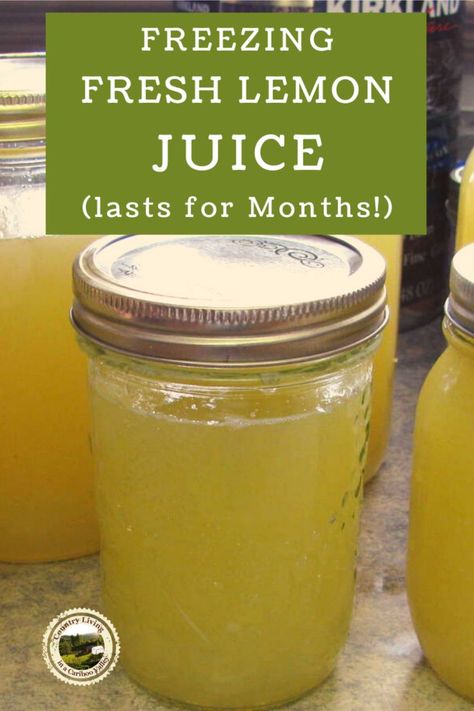 Freezing lemon juice is a handy way to store fresh juice for months. Learn how to freeze lemon juice in jars to use for drinking, baking or cooking recipes. How To Preserve Lemon Juice, Freeze Lemon Juice, Lemon Health, Freezing Lemons, Lemon Juice Recipes, Lemon Water Before Bed, Storing Lemons, Freezing Vegetables, Lemon Juice Benefits