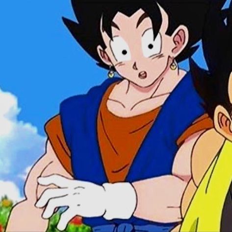 Dragon Ball Super Gogeta And Vegito Matching Icons, Vegito And Gogeta Matching Pfp, Dragonball Matching Pfp, Pp Duo, Vegito Pfp, Csm Pfp, Vegito Gogeta, Goku And Gohan, Goku Y Vegeta