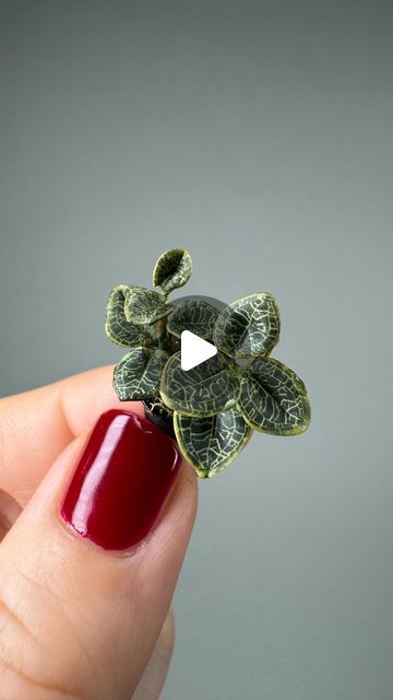 Astrid Wilk on Instagram: "Make my tiny Jewel Orchid - petola macodes with me. First I build the leaf pattern out of different colored polymer clay, then the cane is reduced to a few millimeters in diameter in order to cut tiny slices, which, with a lot of patience, turn into tiny leaves ✨ The first cane was a color fail. After baking the complete contrast was gone. I made several color samples for the next try and the pattern was still lost. So again. On the next try I mixed the colors brighter, the result was better, but not as I imagined. I rethought my entire color concept and started again from scratch. The effort was worth it and the finished mini plant is my favorite this year. All parts are handmade by me ✨🌵🌴 #tinyplantsonshelves #astridwilkdiy #polymerclaycane #polymerclaycane Mini Flowers Diy, Jewel Orchid, Polymer Canes, Color Concept, Mini Plant, Polymer Clay Cane, Mini Plants, Me First, The Leaf