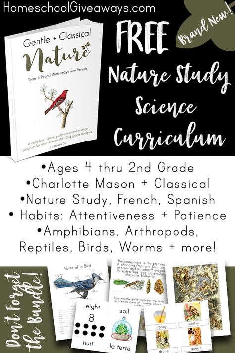 FREE Charlotte Mason Nature Study curriculum! It was created to be both CM and Classical with memorization, nature study, poetry recitation, handicrafts, and more. This BRAND NEW program is 120 pages of goodness, encouragement, and amazing resources. Study Science, Homeschool Nature Study, Charlotte Mason Homeschool, Montessori Method, Nature School, Homeschool Education, Classical Education, Nature Life, Homeschool Printables