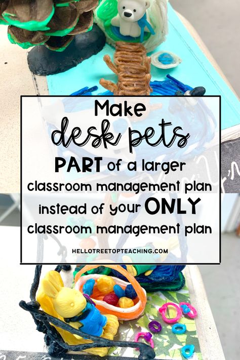 Desk Pet Classroom Management, Classroom Desk Pets, Student Store Ideas Elementary, Desk Pets Classroom Management, Class Pets, Classroom Economy System, Classroom Management Rewards, Teaching Community, August Activities