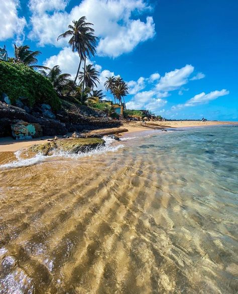 Puerto Rico Ocean, Porta Rico Aesthetic, Puerto Rico Backgrounds, Puerto Rican Aesthetic, Puerto Rico Aesthetic, Puerto Rico Photography, Terrible Haircuts, Arecibo Puerto Rico, Puerto Rico Beach