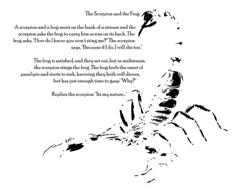 The scorpion and the frog -tr The Frog And The Scorpion, Frog And Scorpion Tattoo, Scorpion And The Frog, The Scorpion And The Frog, Scorpion Oc, Scorpion Quotes, Frog Quotes, Elizabeth Bathory, Jonathan Crane