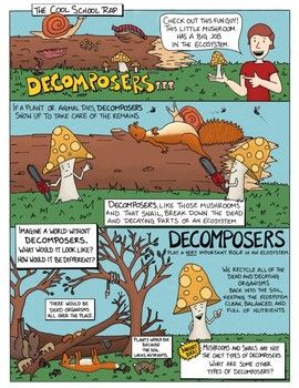 Ecosystem Interactions: Decomposers Comic with Doodle Notes Decomposers play a big role in an ecosystem! They are the organisms in charge of cleaning up all the dead plants and animals and recycling them back into the Earth. Without decomposers, our Decomposers Activity, Kindergarten Grammar Worksheets, School Comics, Kindergarten Grammar, Characteristics Of Living Things, Science Comics, Science Doodles, Holiday Homework, Cool School