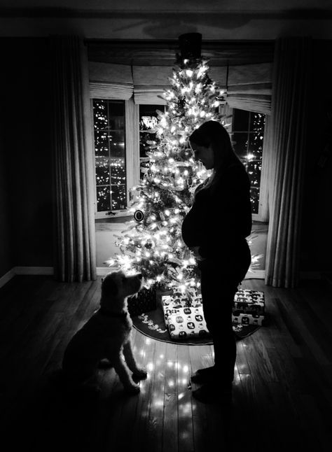 Christmas Pregnancy Photo  - Dog waiting for its new best friend. Maternity Christmas Pictures, Winter Pregnancy Photoshoot, Christmas Pregnancy Photos, Pregnancy Photoshoot Ideas, Winter Maternity Pictures, Winter Maternity Shoot, Winter Pregnancy, Winter Maternity Photos, Baby Bump Pictures