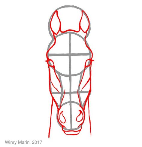 How To Draw Horse Front View, Horses Front View, Horse Drawing Front View, Horse Face Front View, Horse Sketch Step By Step, How To Draw A Horse Head, How To Draw Horse, Drawing Ideas Horse, Horse Head Front View