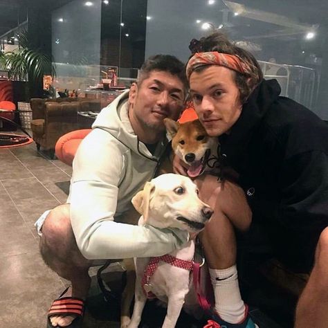 Harry Styles Boyfriend, Japan Harry, Harry Styles 2018, Boyfriend Harry, Harry Styles Update, Harry 1d, Haikou, Harry Styles Pictures, Harry Styles Photos